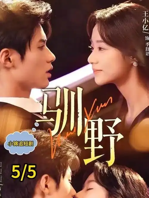 闪婚老伴是大佬家庭短剧